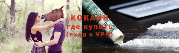 шишки Семилуки