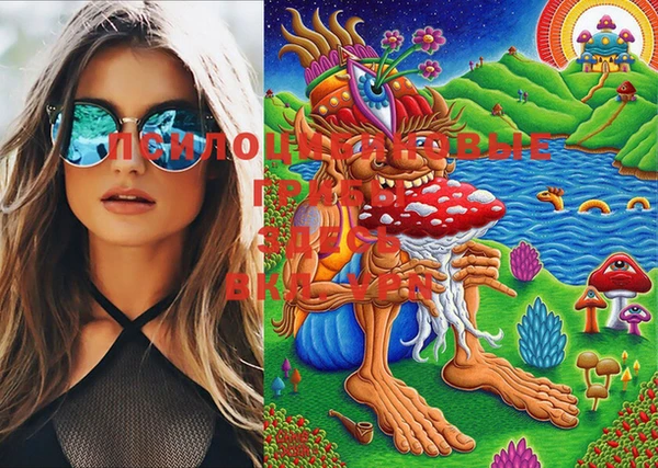 шишки Семилуки