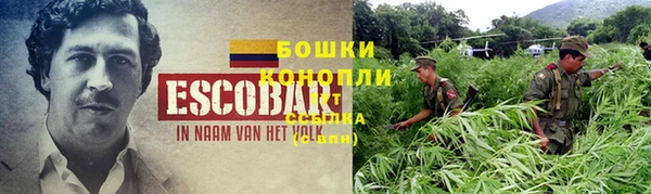 ECSTASY Бронницы