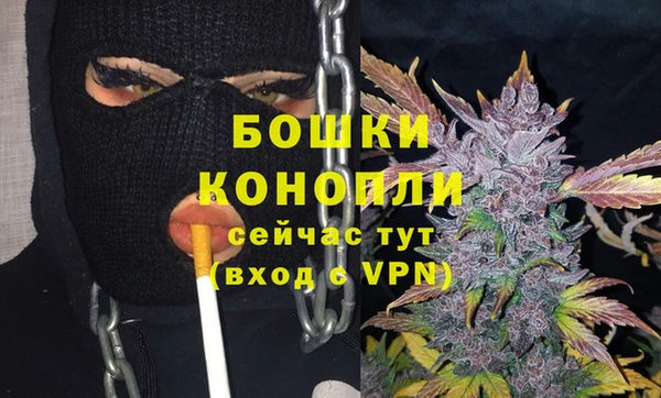 ECSTASY Бронницы
